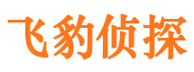 梁山捉小三公司